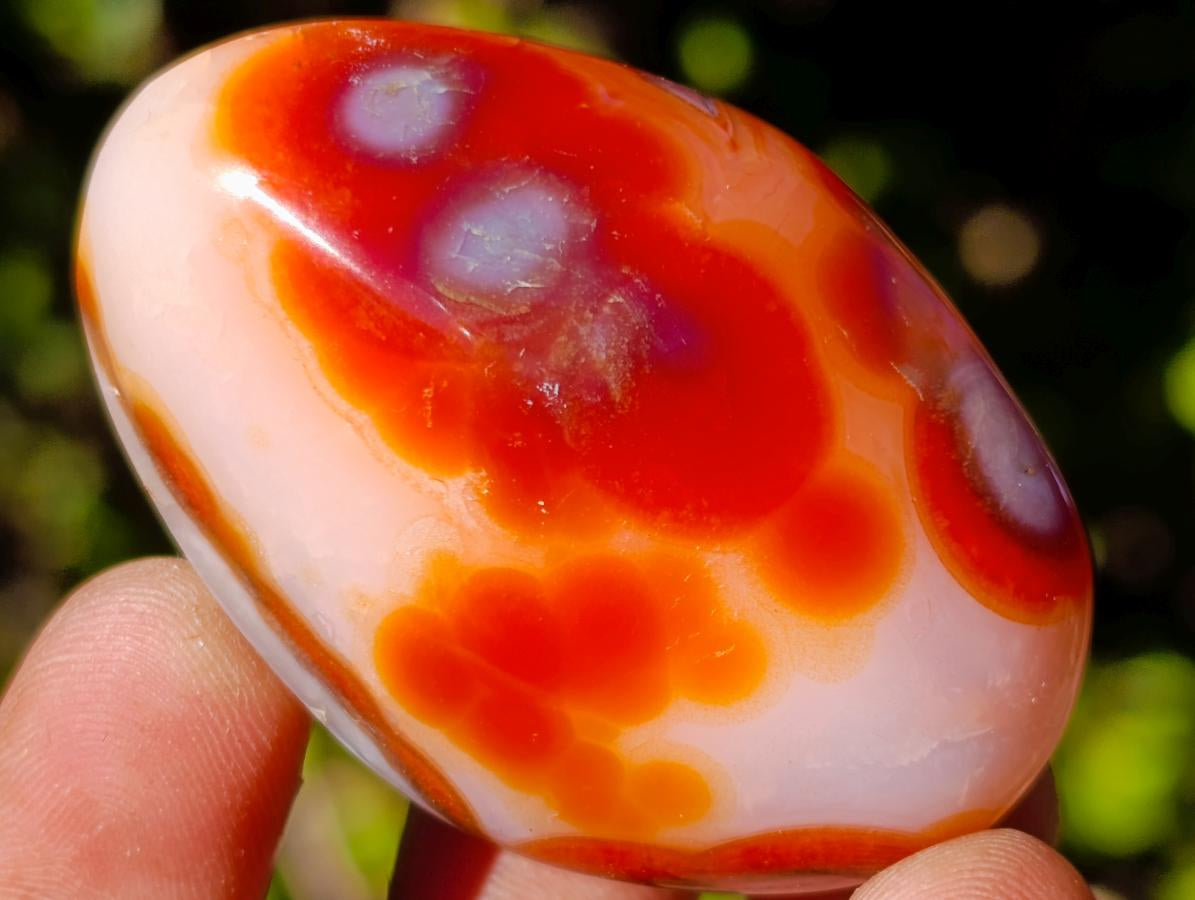 Polished and Natural Carnelian Agate Gemstone Galets x 35 From Madagascar - Toprock Gemstones and Minerals 