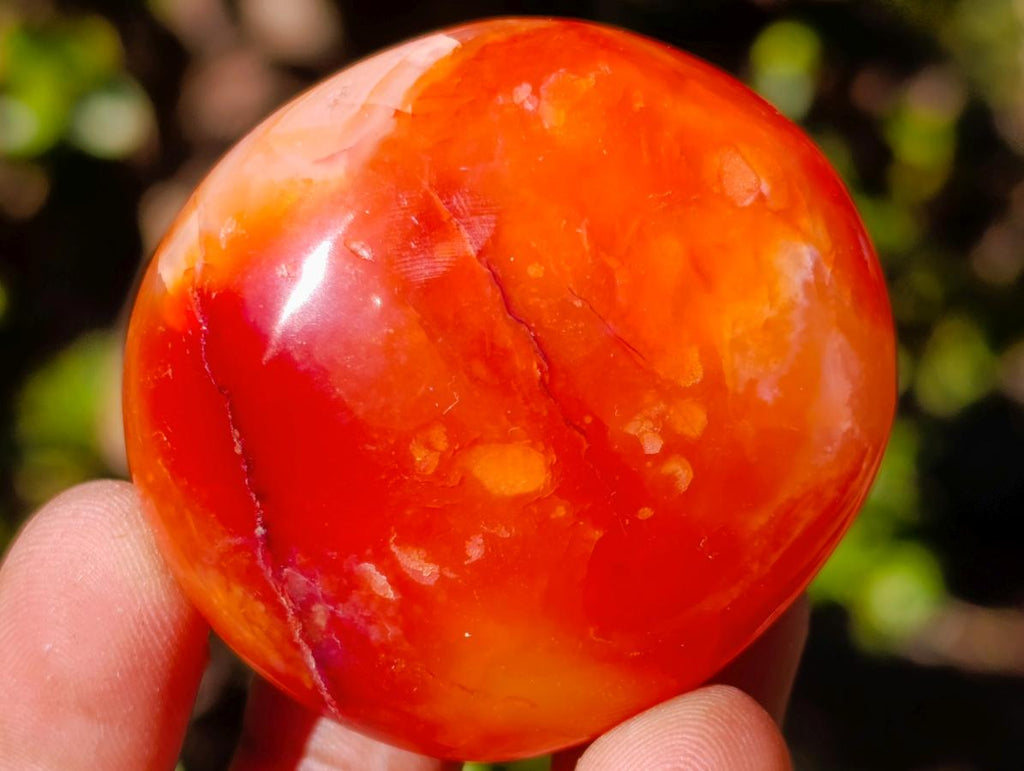 Polished and Natural Carnelian Agate Gemstone Galets x 35 From Madagascar - Toprock Gemstones and Minerals 
