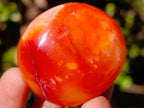 Polished and Natural Carnelian Agate Gemstone Galets x 35 From Madagascar - Toprock Gemstones and Minerals 