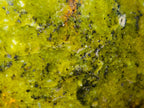 Polished Green Opal Standing Display Pieces x 2 From Betroka, Madagascar - Toprock Gemstones and Minerals 