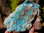 Natural Cobbed Shattuckite Specimens x 6 From Kaokoveld, Namibia - Toprock Gemstones and Minerals 