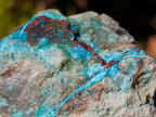 Natural Cobbed Shattuckite Specimens x 6 From Kaokoveld, Namibia - Toprock Gemstones and Minerals 