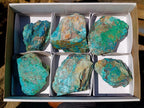 Natural Cobbed Shattuckite Specimens x 6 From Kaokoveld, Namibia - Toprock Gemstones and Minerals 