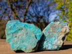 Natural Cobbed Shattuckite Specimens x 6 From Kaokoveld, Namibia - Toprock Gemstones and Minerals 