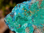 Natural Cobbed Shattuckite Specimens x 6 From Kaokoveld, Namibia - Toprock Gemstones and Minerals 