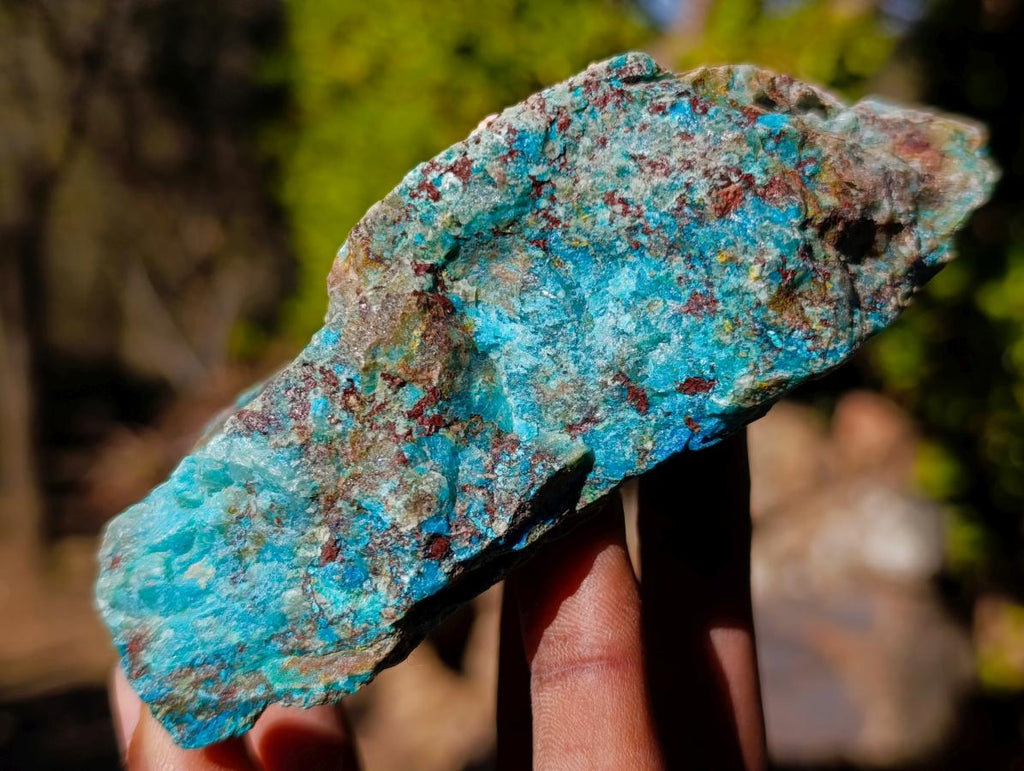 Natural Cobbed Shattuckite Specimens x 6 From Kaokoveld, Namibia - Toprock Gemstones and Minerals 