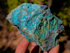 Natural Cobbed Shattuckite Specimens x 6 From Kaokoveld, Namibia - Toprock Gemstones and Minerals 