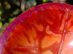 Polished and Natural Carnelian Agate Gemstone Bowls x 3 From Madagascar - Toprock Gemstones and Minerals 