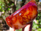 Polished and Natural Carnelian Agate Gemstone Bowls x 3 From Madagascar - Toprock Gemstones and Minerals 