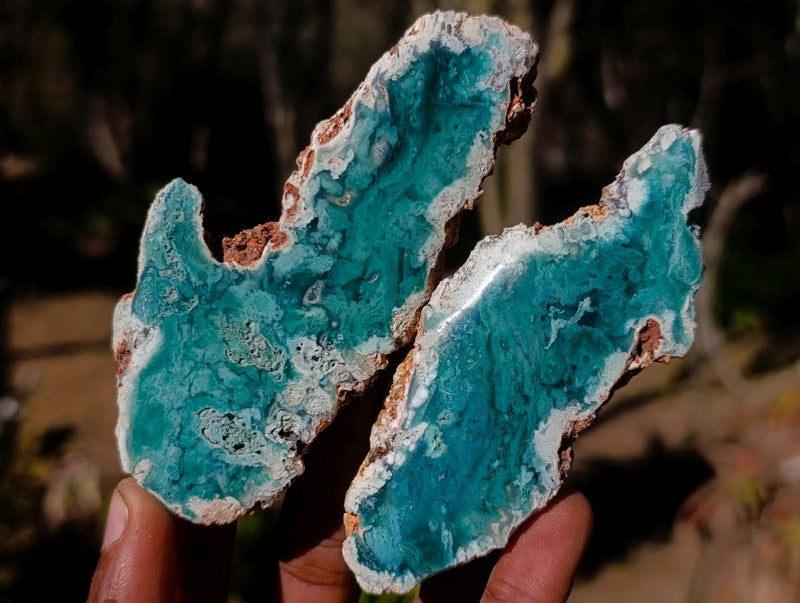 Polished One Side Mtorolite Chrysoprase Slices x 24 From Mutorashanga, Zimbabwe - Toprock Gemstones and Minerals 