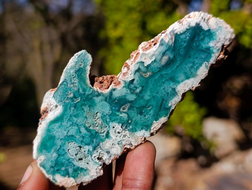 Polished One Side Mtorolite Chrysoprase Slices x 24 From Mutorashanga, Zimbabwe - Toprock Gemstones and Minerals 