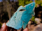 Polished One Side Mtorolite Chrysoprase Slices x 24 From Mutorashanga, Zimbabwe - Toprock Gemstones and Minerals 