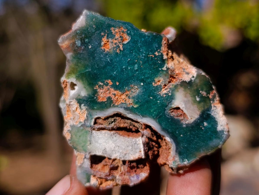 Polished One Side Mtorolite Chrysoprase Slices x 24 From Mutorashanga, Zimbabwe - Toprock Gemstones and Minerals 