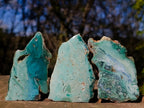 Polished One Side Mtorolite Chrysoprase Slices x 24 From Mutorashanga, Zimbabwe - Toprock Gemstones and Minerals 