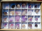 Polished Mixed Window Crystals x 24 From Akansobe, Madagascar - Toprock Gemstones and Minerals 