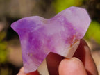 Polished Mixed Window Crystals x 24 From Akansobe, Madagascar - Toprock Gemstones and Minerals 