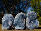 Natural Blue Celestite Specimens x 17 From Sakoany, Madagascar - Toprock Gemstones and Minerals 