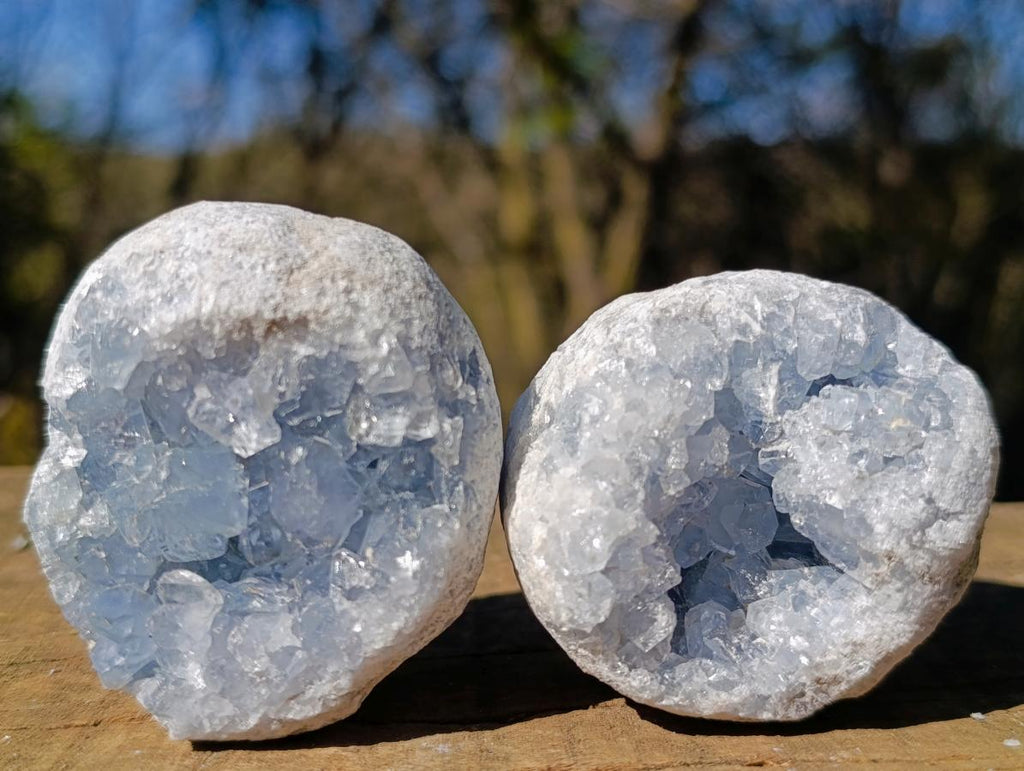 Natural Blue Celestite Specimens x 17 From Sakoany, Madagascar - Toprock Gemstones and Minerals 