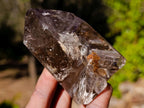 Polished Smokey Quartz Crystals x 12 From Madagascar - Toprock Gemstones and Minerals 