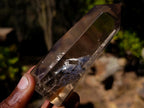 Polished Smokey Quartz Crystals x 12 From Madagascar - Toprock Gemstones and Minerals 
