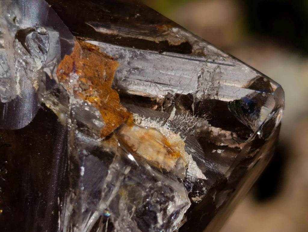Polished Smokey Quartz Crystals x 12 From Madagascar - Toprock Gemstones and Minerals 