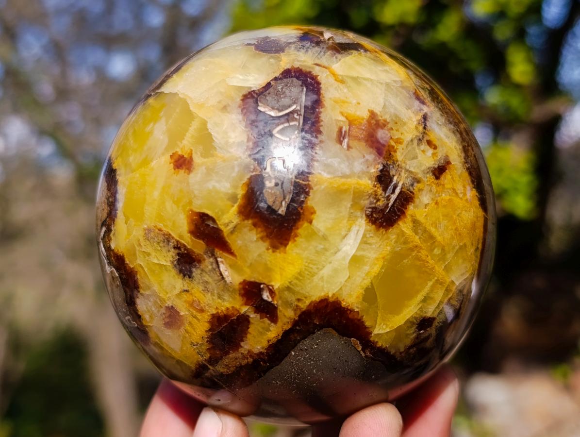 Polished Large Septerye Spheres x 2 From Mahajanga, Madagascar - Toprock Gemstones and Minerals 