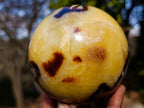 Polished Large Septerye Spheres x 2 From Mahajanga, Madagascar - Toprock Gemstones and Minerals 