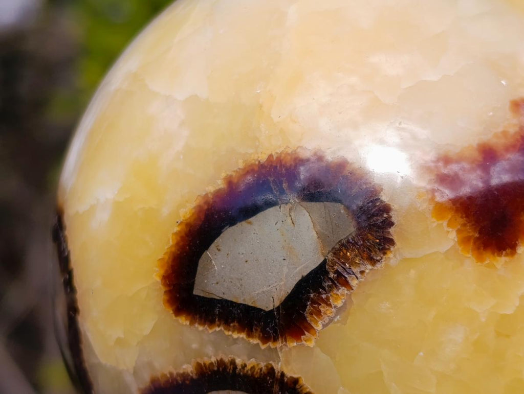 Polished Large Septerye Spheres x 2 From Mahajanga, Madagascar - Toprock Gemstones and Minerals 