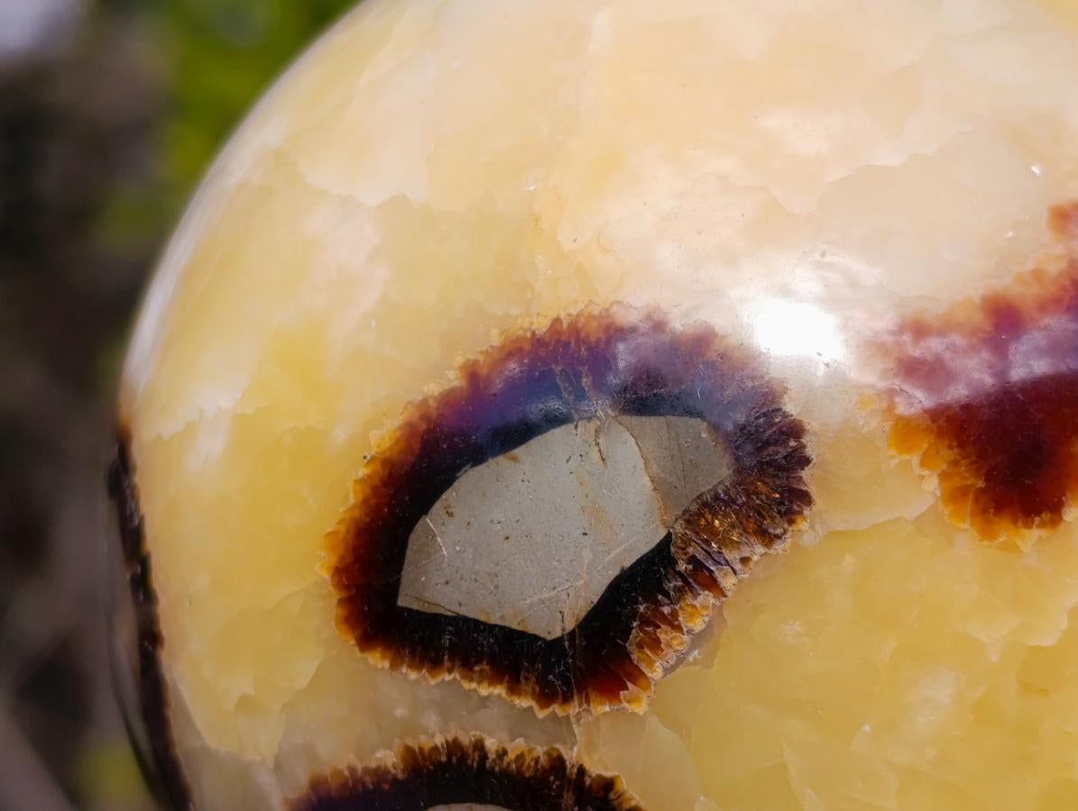 Polished Large Septerye Spheres x 2 From Mahajanga, Madagascar - Toprock Gemstones and Minerals 