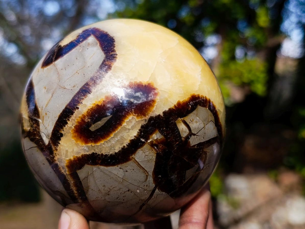 Polished Large Septerye Spheres x 2 From Mahajanga, Madagascar - Toprock Gemstones and Minerals 