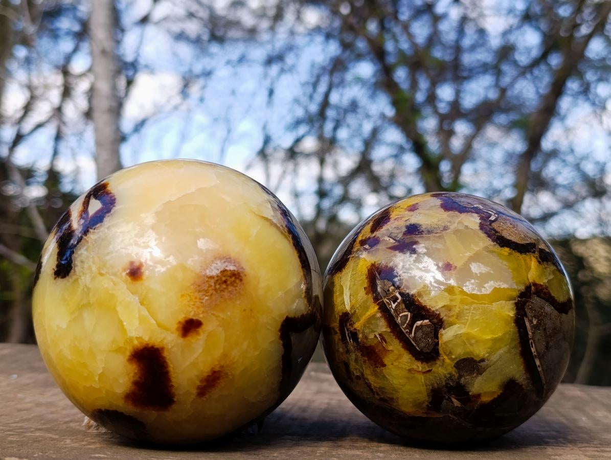 Polished Large Septerye Spheres x 2 From Mahajanga, Madagascar - Toprock Gemstones and Minerals 