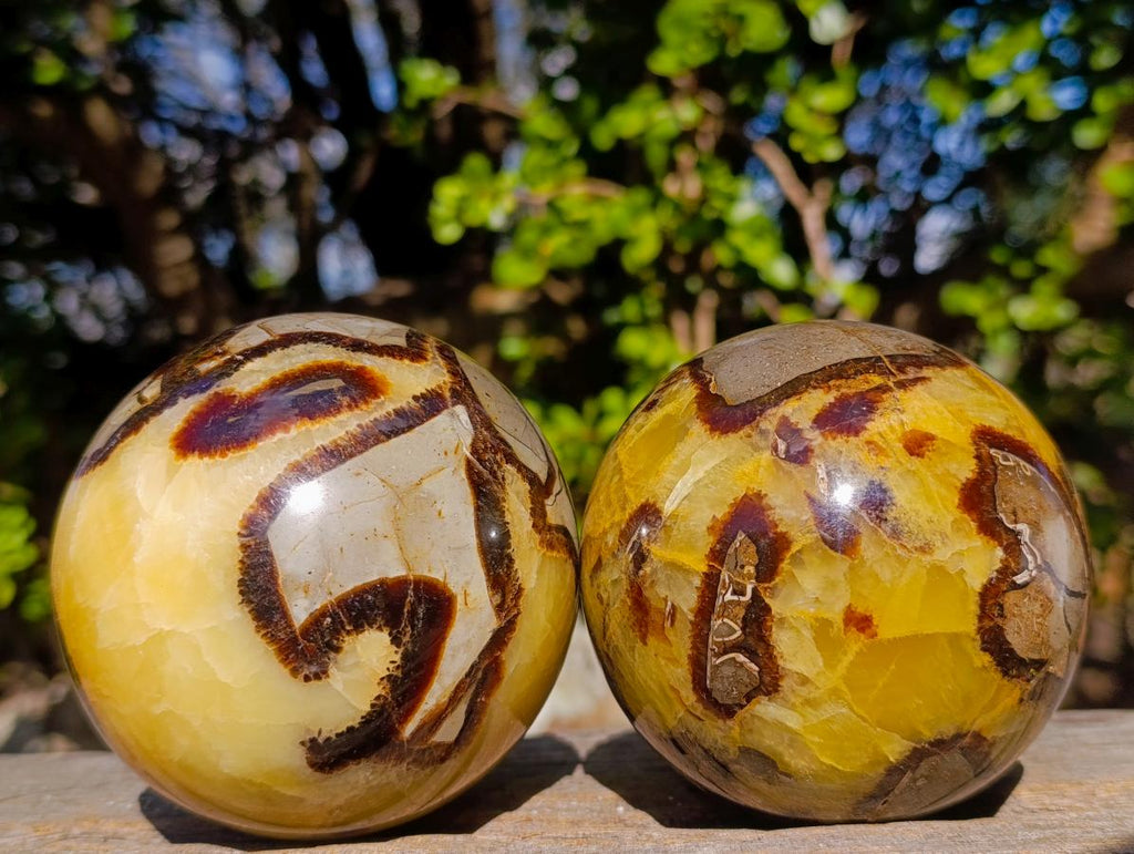 Polished Large Septerye Spheres x 2 From Mahajanga, Madagascar - Toprock Gemstones and Minerals 
