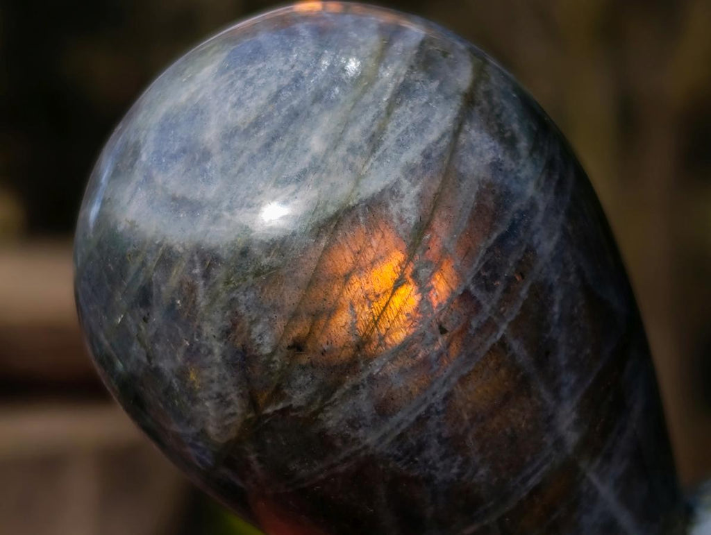 Polished Labradorite Stamp Handles x 6 From Madagascar - Toprock Gemstones and Minerals 