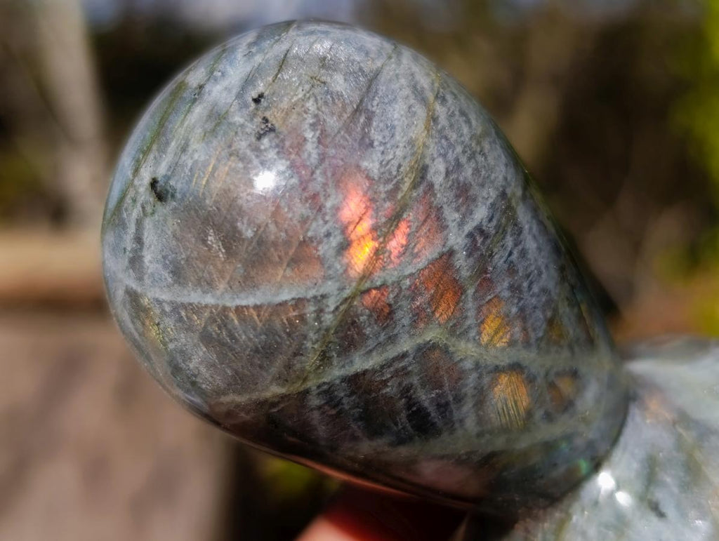 Polished Labradorite Stamp Handles x 6 From Madagascar - Toprock Gemstones and Minerals 
