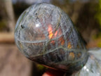 Polished Labradorite Stamp Handles x 6 From Madagascar - Toprock Gemstones and Minerals 