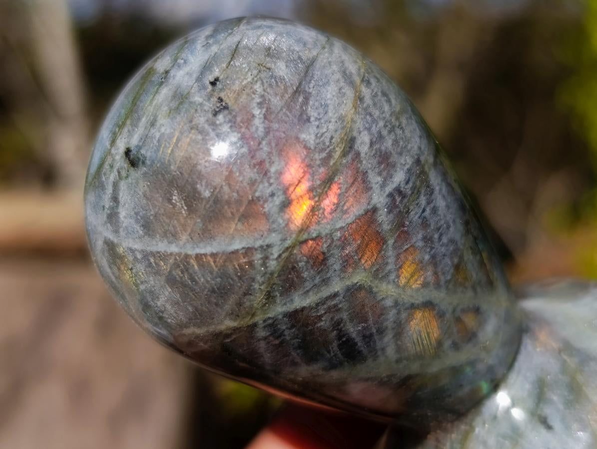 Polished Labradorite Stamp Handles x 6 From Madagascar - Toprock Gemstones and Minerals 