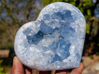 Polished and Natural Blue Celestite Hearts x 2 From Sakoany, Madagascar - Toprock Gemstones and Minerals 