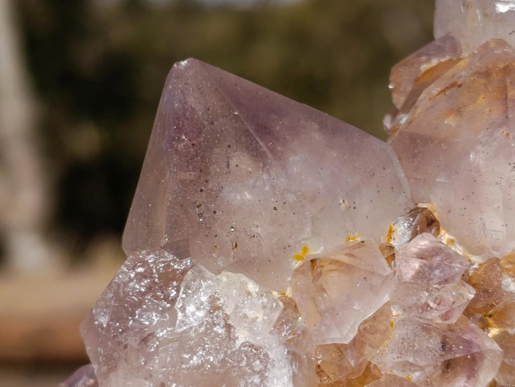 Natural Spirit Ametrine Clusters with Cactus Flower Formations x 4 From Boekenhouthoek, South Africa - Toprock Gemstones and Minerals 