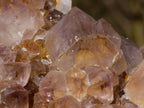 Natural Spirit Ametrine Clusters with Cactus Flower Formations x 4 From Boekenhouthoek, South Africa - Toprock Gemstones and Minerals 