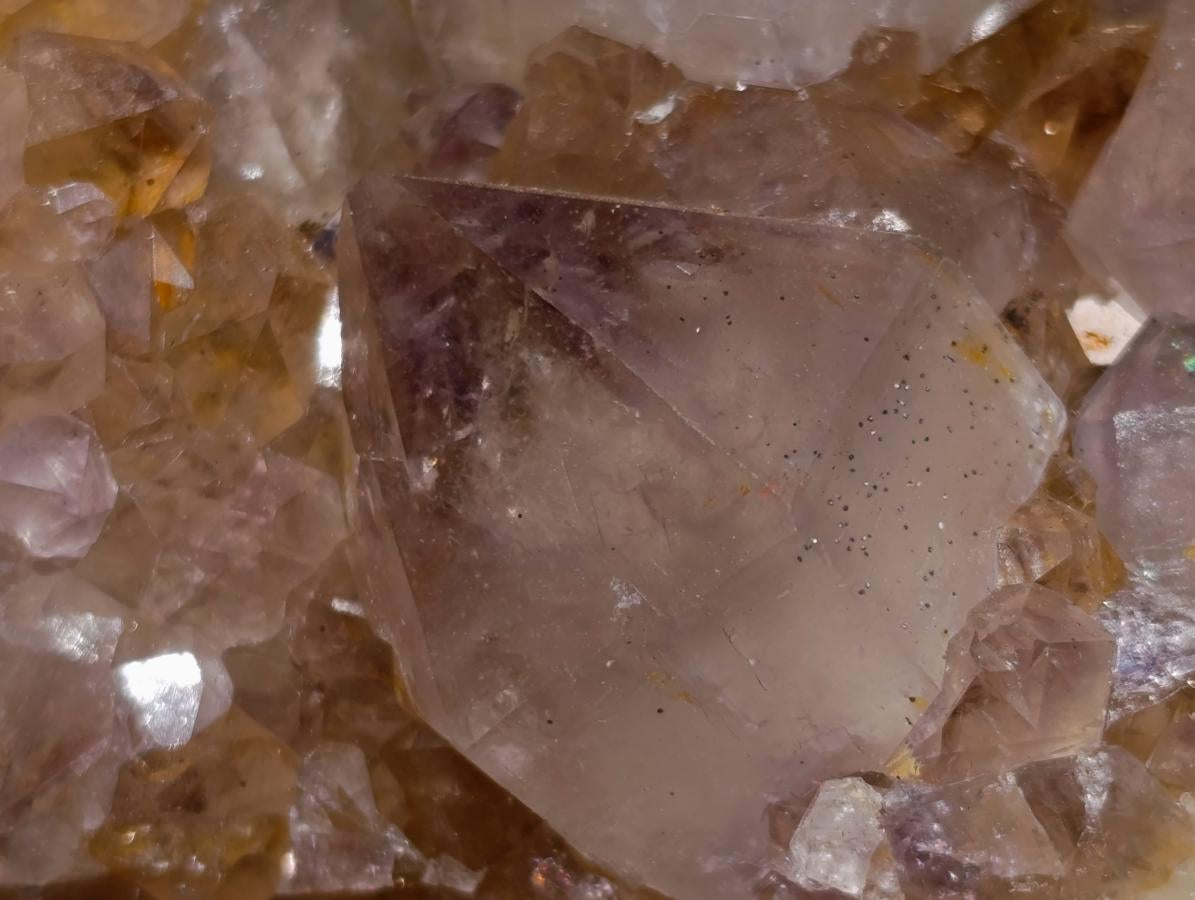 Natural Spirit Ametrine Clusters with Cactus Flower Formations x 4 From Boekenhouthoek, South Africa - Toprock Gemstones and Minerals 