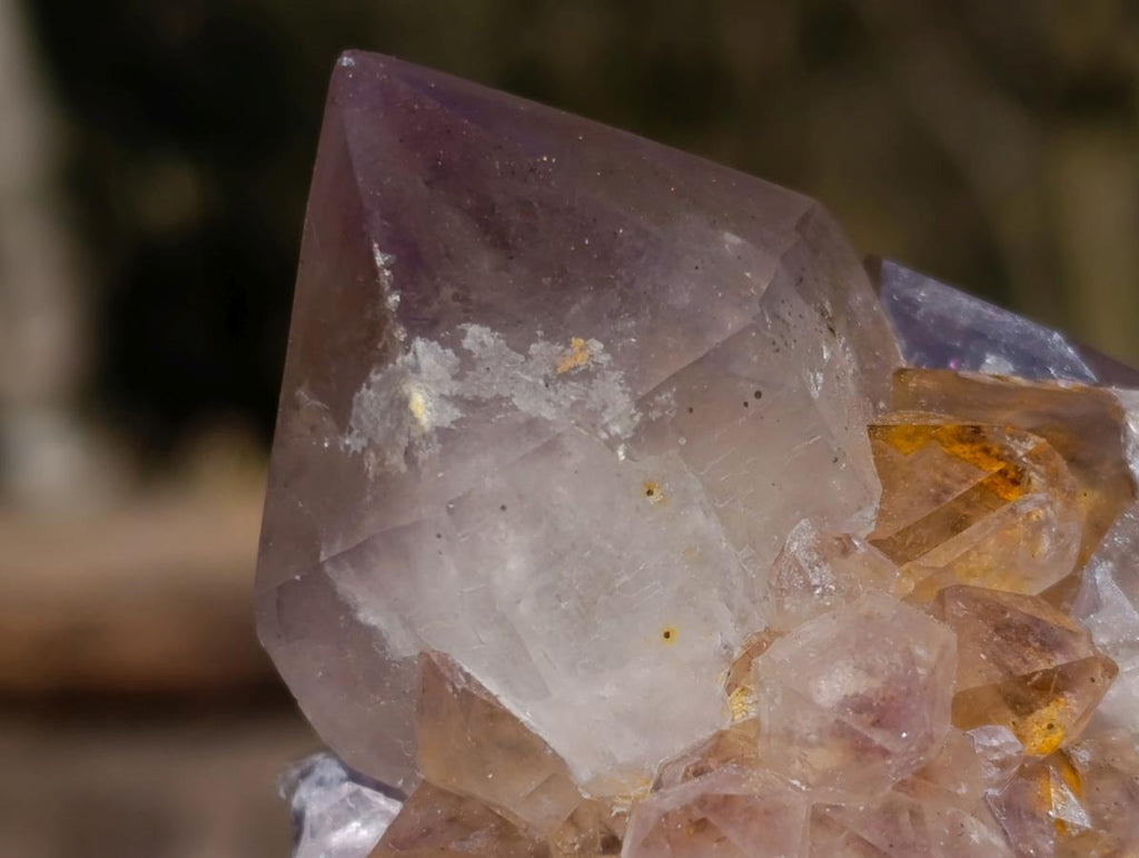 Natural Spirit Ametrine Clusters with Cactus Flower Formations x 4 From Boekenhouthoek, South Africa - Toprock Gemstones and Minerals 