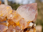 Natural Spirit Ametrine Clusters with Cactus Flower Formations x 4 From Boekenhouthoek, South Africa - Toprock Gemstones and Minerals 