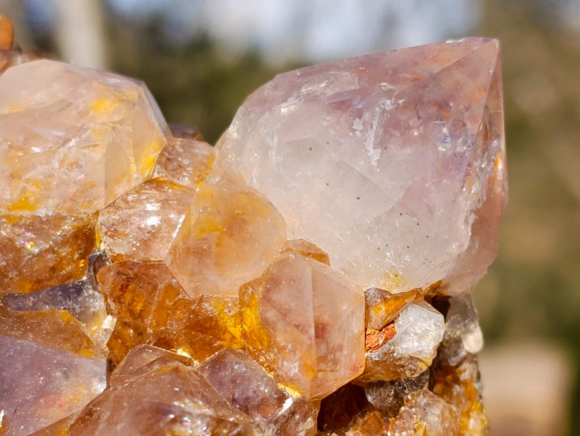 Natural Spirit Ametrine Clusters with Cactus Flower Formations x 4 From Boekenhouthoek, South Africa - Toprock Gemstones and Minerals 