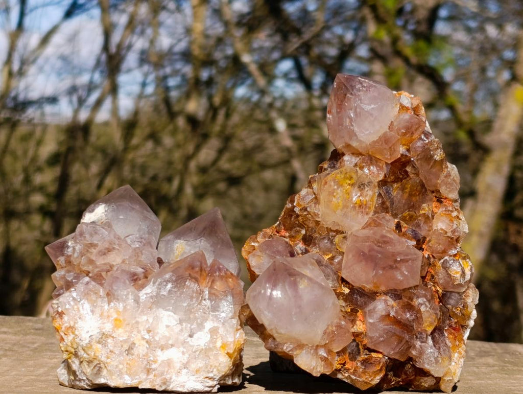 Natural Spirit Ametrine Clusters with Cactus Flower Formations x 4 From Boekenhouthoek, South Africa - Toprock Gemstones and Minerals 