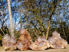 Natural Spirit Ametrine Clusters with Cactus Flower Formations x 4 From Boekenhouthoek, South Africa - Toprock Gemstones and Minerals 