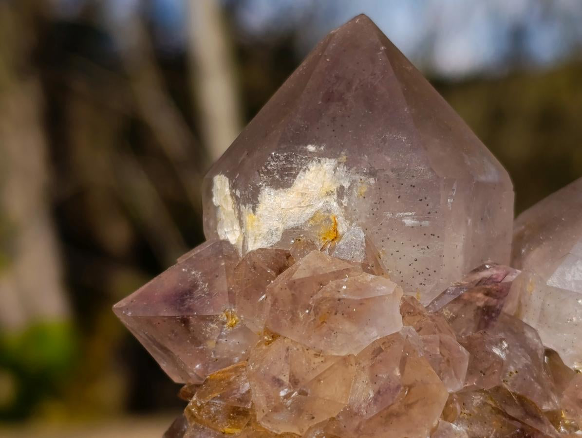 Natural Spirit Ametrine Clusters with Cactus Flower Formations x 4 From Boekenhouthoek, South Africa - Toprock Gemstones and Minerals 