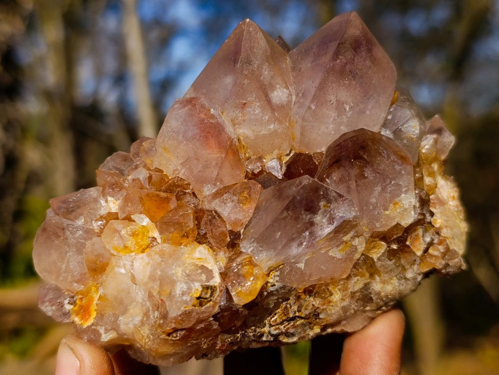 Natural Spirit Ametrine Clusters with Cactus Flower Formations x 4 From Boekenhouthoek, South Africa - Toprock Gemstones and Minerals 