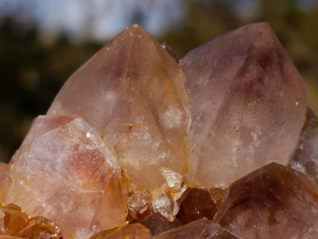 Natural Spirit Ametrine Clusters with Cactus Flower Formations x 4 From Boekenhouthoek, South Africa - Toprock Gemstones and Minerals 