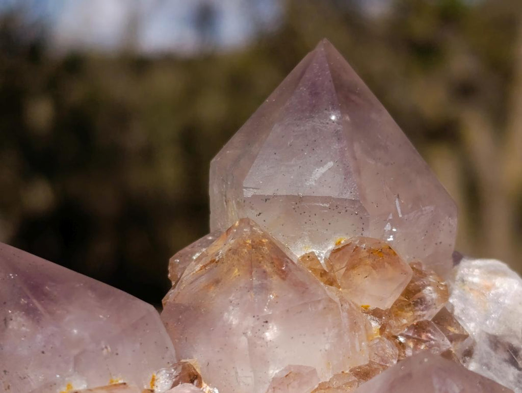 Natural Spirit Ametrine Clusters with Cactus Flower Formations x 4 From Boekenhouthoek, South Africa - Toprock Gemstones and Minerals 