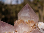 Natural Spirit Ametrine Clusters with Cactus Flower Formations x 4 From Boekenhouthoek, South Africa - Toprock Gemstones and Minerals 